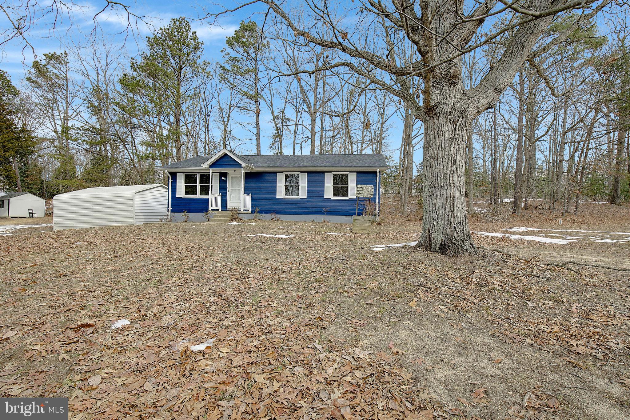 12070 Rousby Hall Road Lusby, MD 20657 - Photo 3 of 36 a view of a house with a yard and large tree