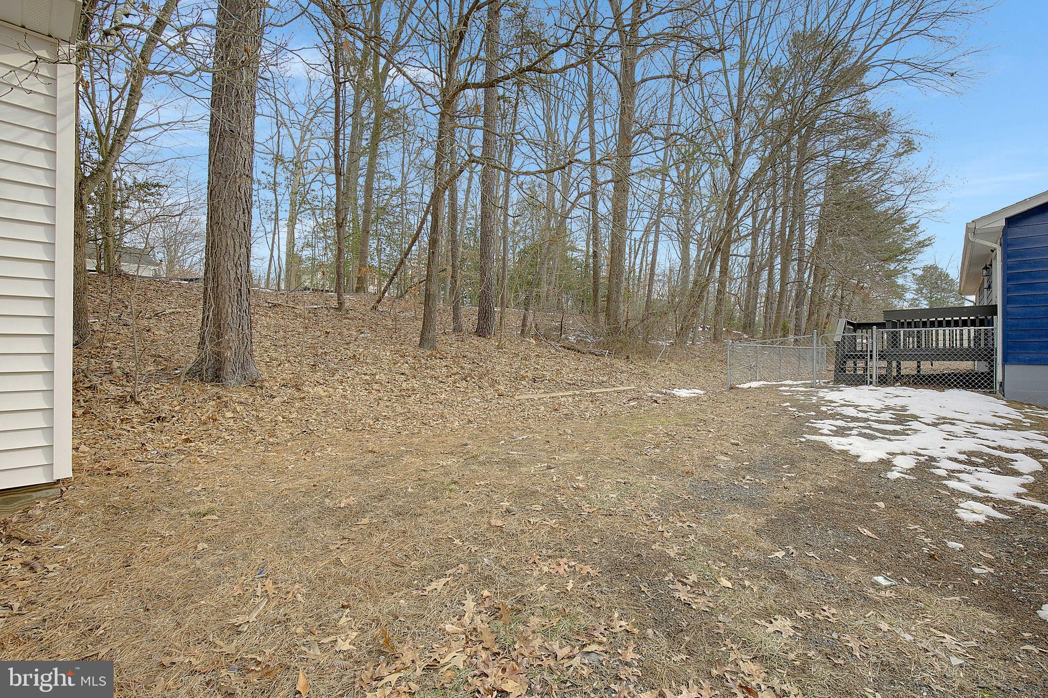 12070 Rousby Hall Road Lusby, MD 20657 - Photo 35 of 36 a view of outdoor space with trees