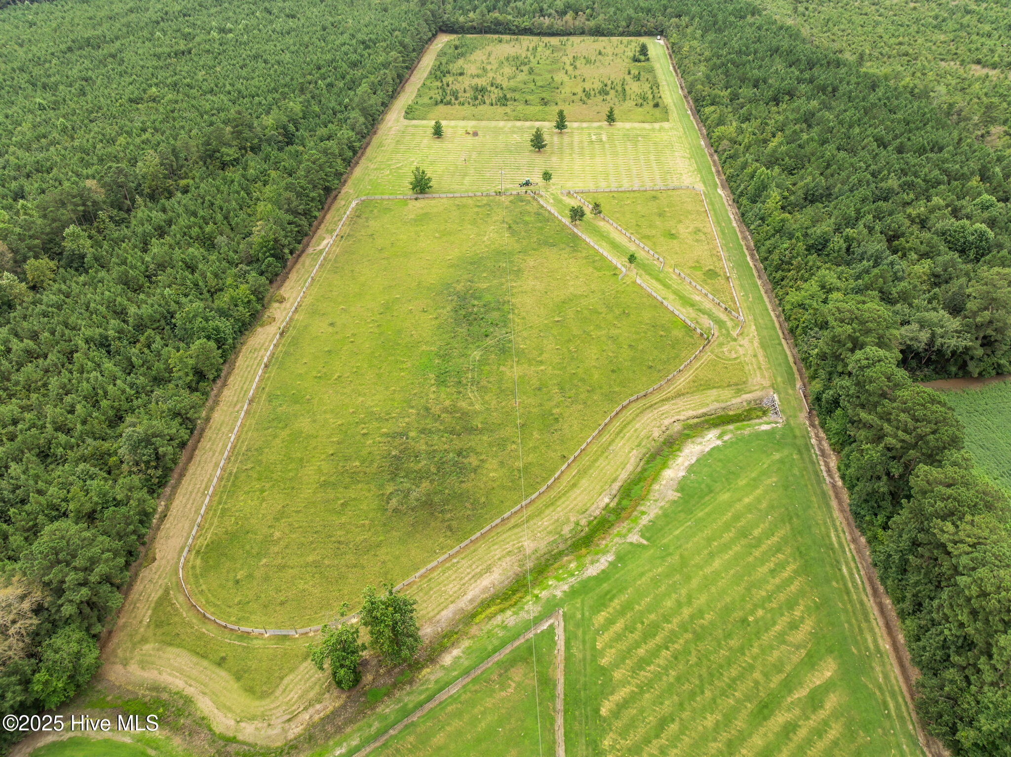 1406 Lone Ranch Lane Fountain, NC 27829 - Photo 12 of 13 view of property