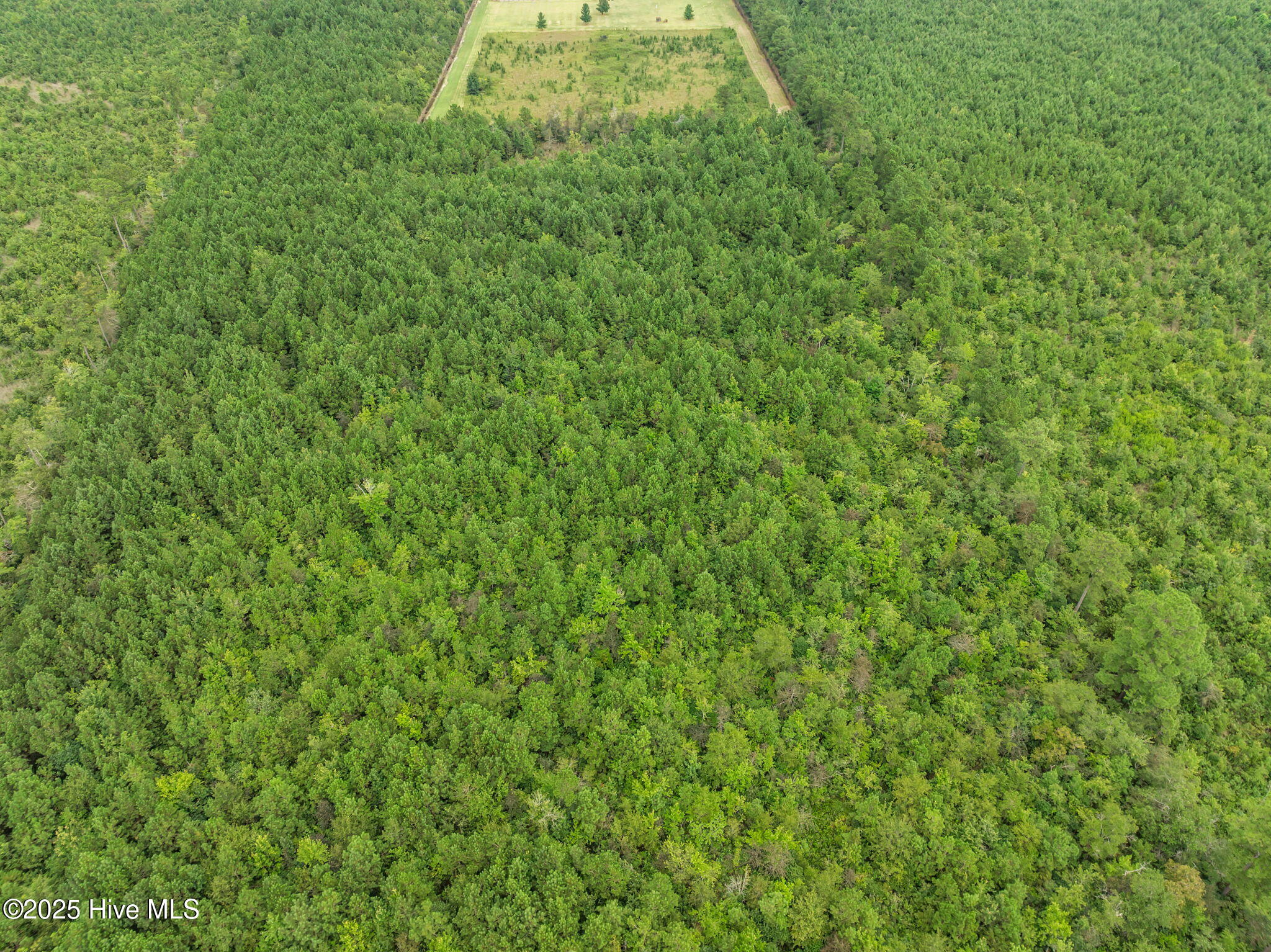 1406 Lone Ranch Lane Fountain, NC 27829 - Photo 13 of 13 view of property