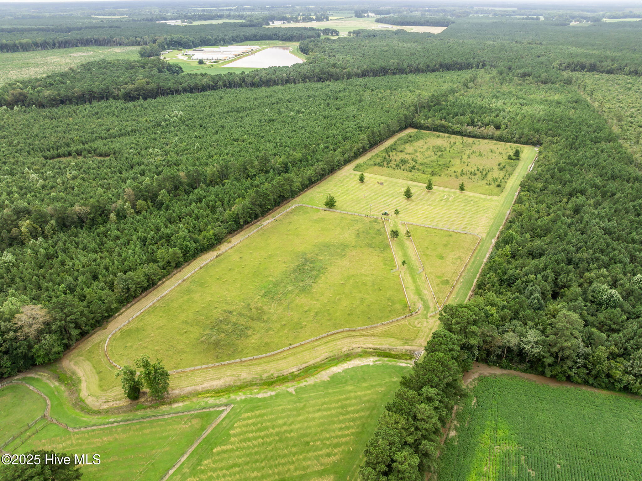 1406 Lone Ranch Lane Fountain, NC 27829 - Photo 3 of 13 view of property