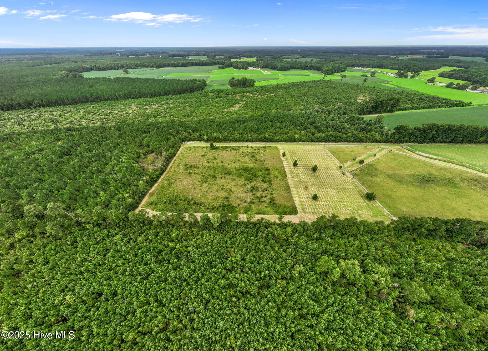 1406 Lone Ranch Lane Fountain, NC 27829 - Photo 6 of 13 view of property