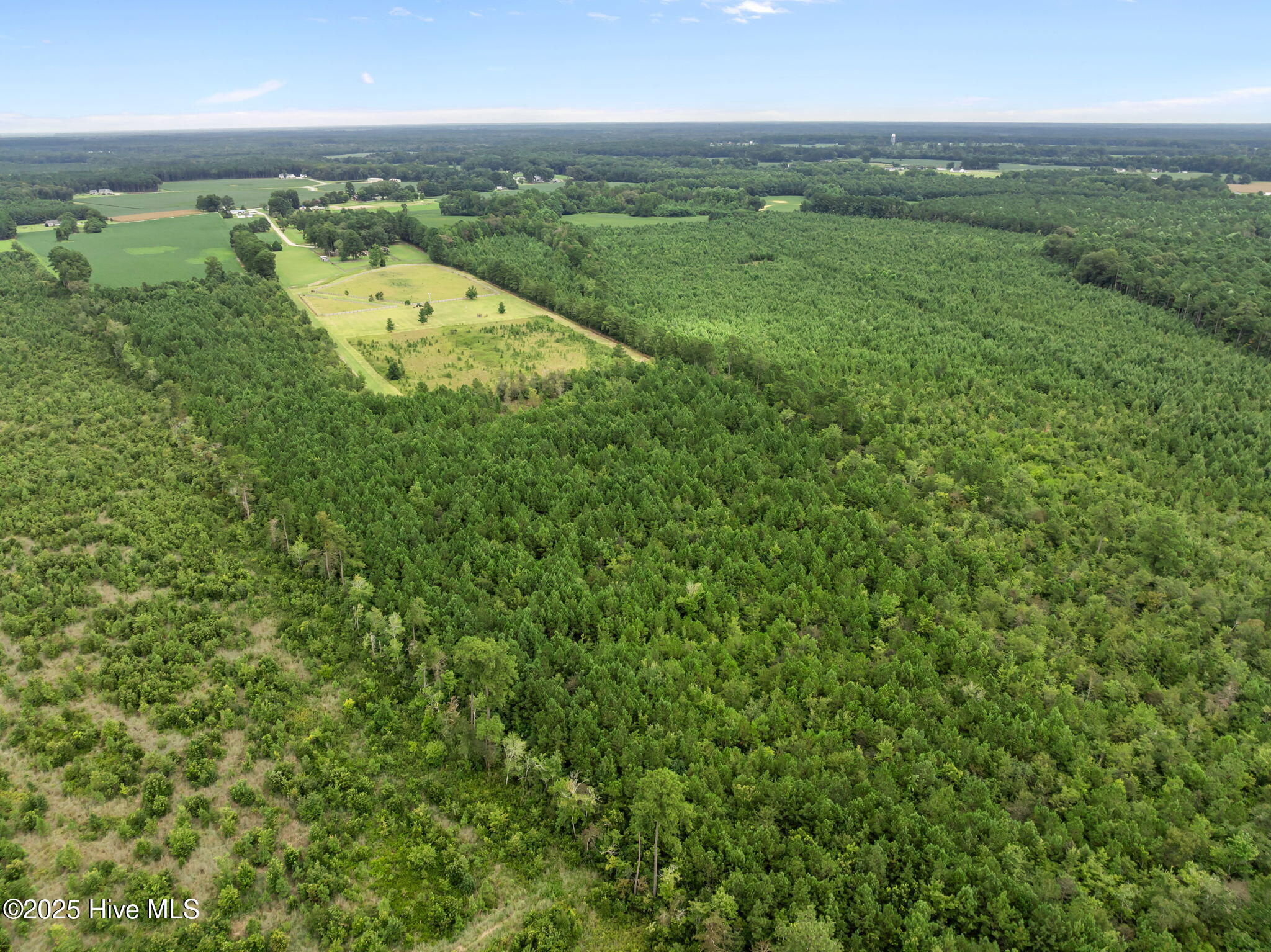 1406 Lone Ranch Lane Fountain, NC 27829 - Photo 7 of 13 view of property