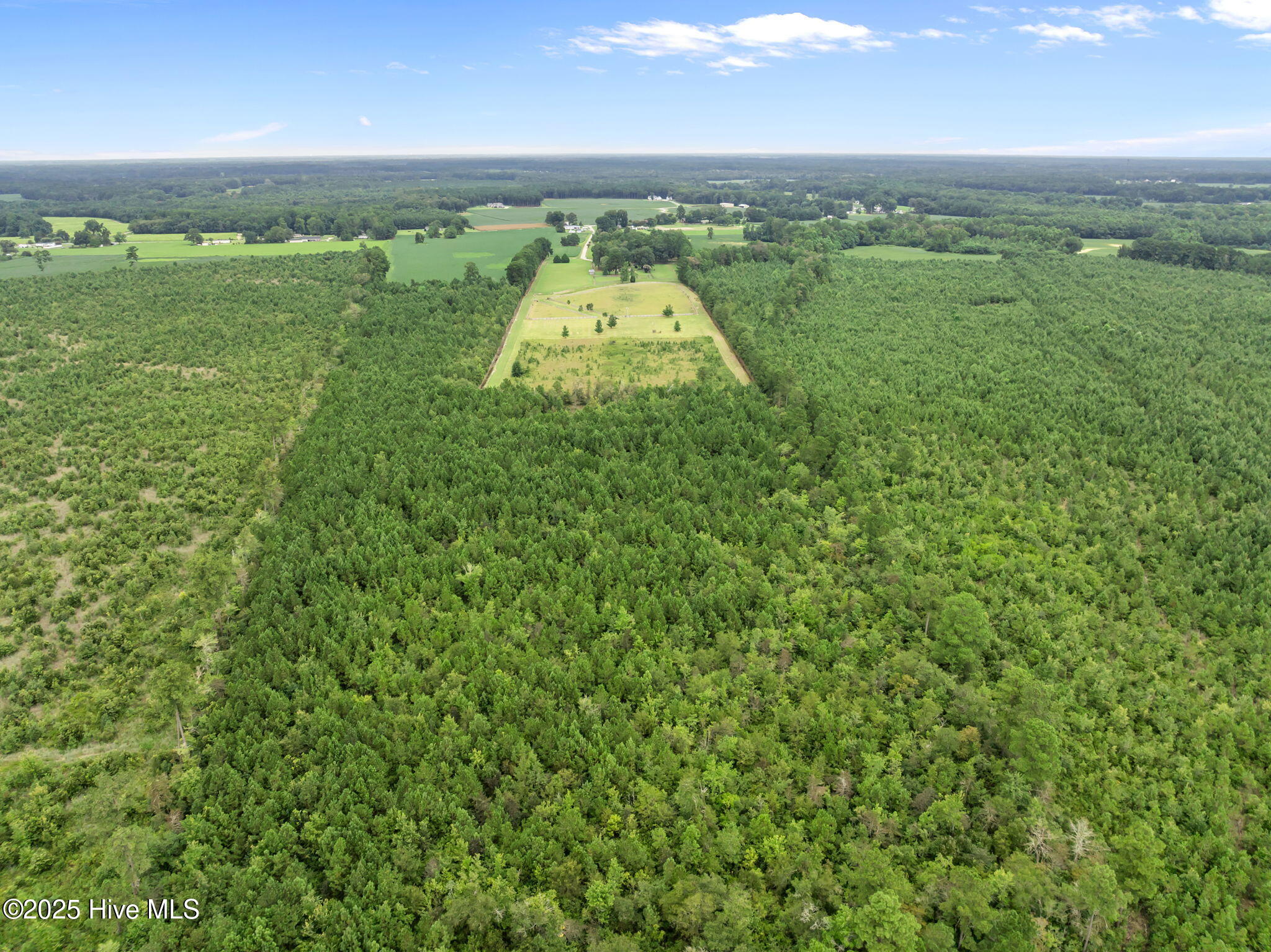 1406 Lone Ranch Lane Fountain, NC 27829 - Photo 8 of 13 view of property