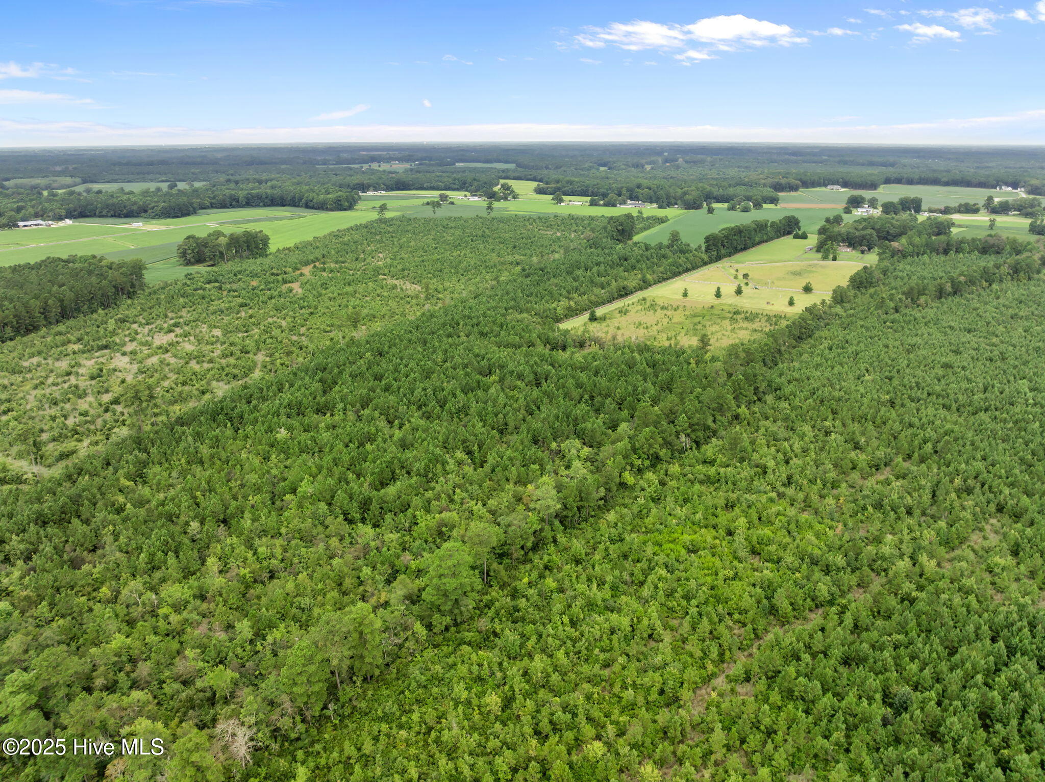 1406 Lone Ranch Lane Fountain, NC 27829 - Photo 9 of 13 view of property