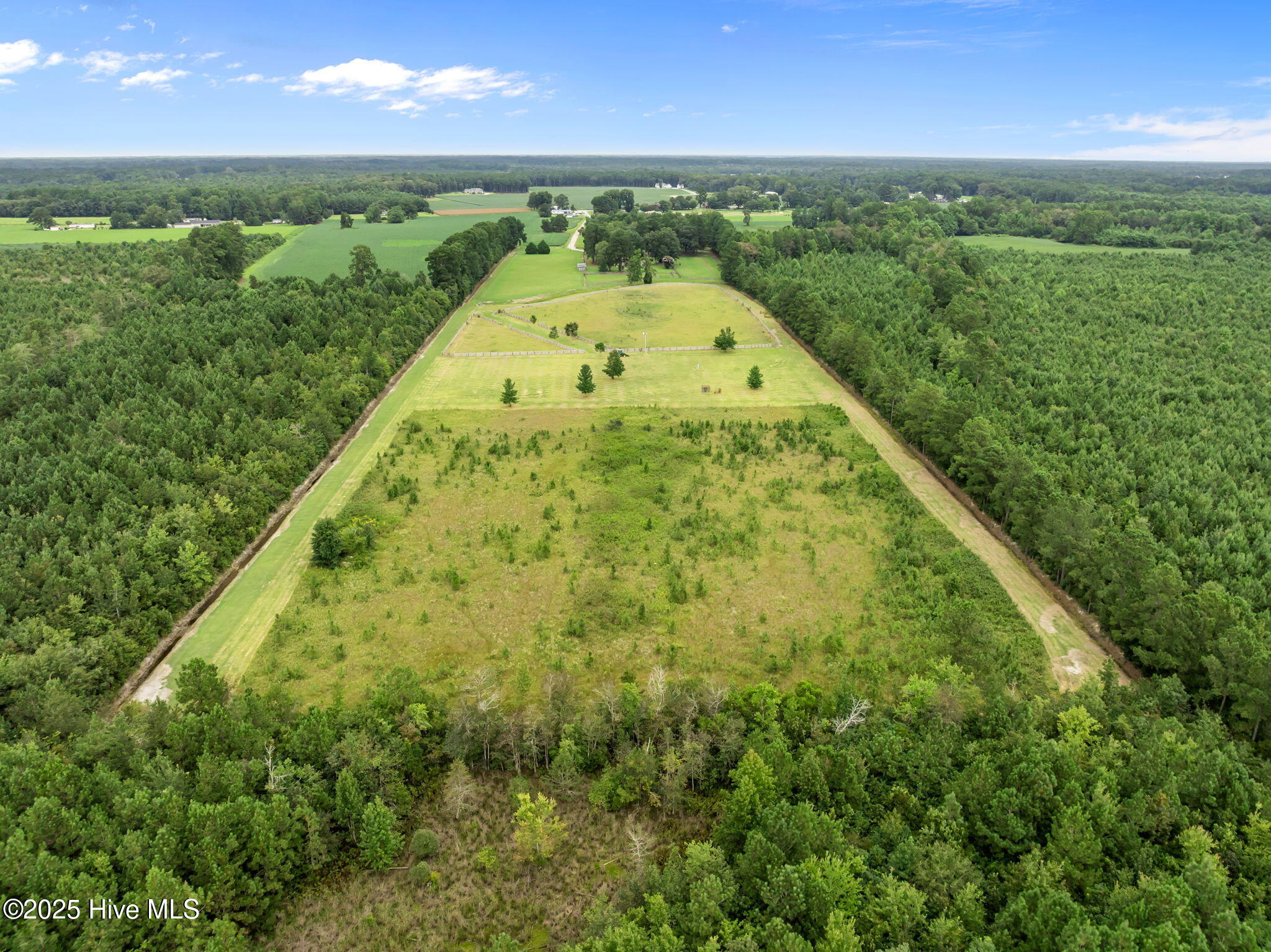 1406 Lone Ranch Lane Fountain, NC 27829 - Photo 10 of 13 view of property