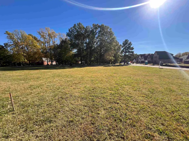 a view of an ocean and trees