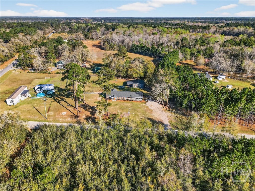 121 Green Morgan School Road Springfield, GA 31329 - Photo 39 of 55