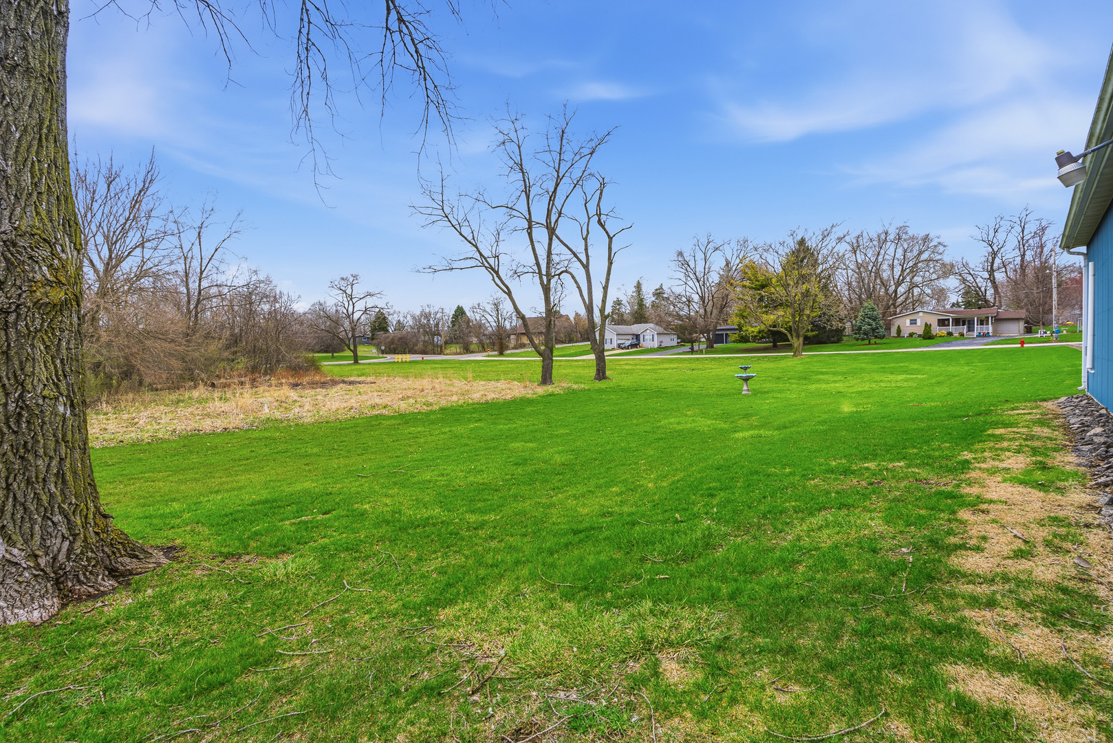 310 Godfrey Avenue Lockport, IL 60441 - Photo 45 of 65 a view of yard with grass and trees