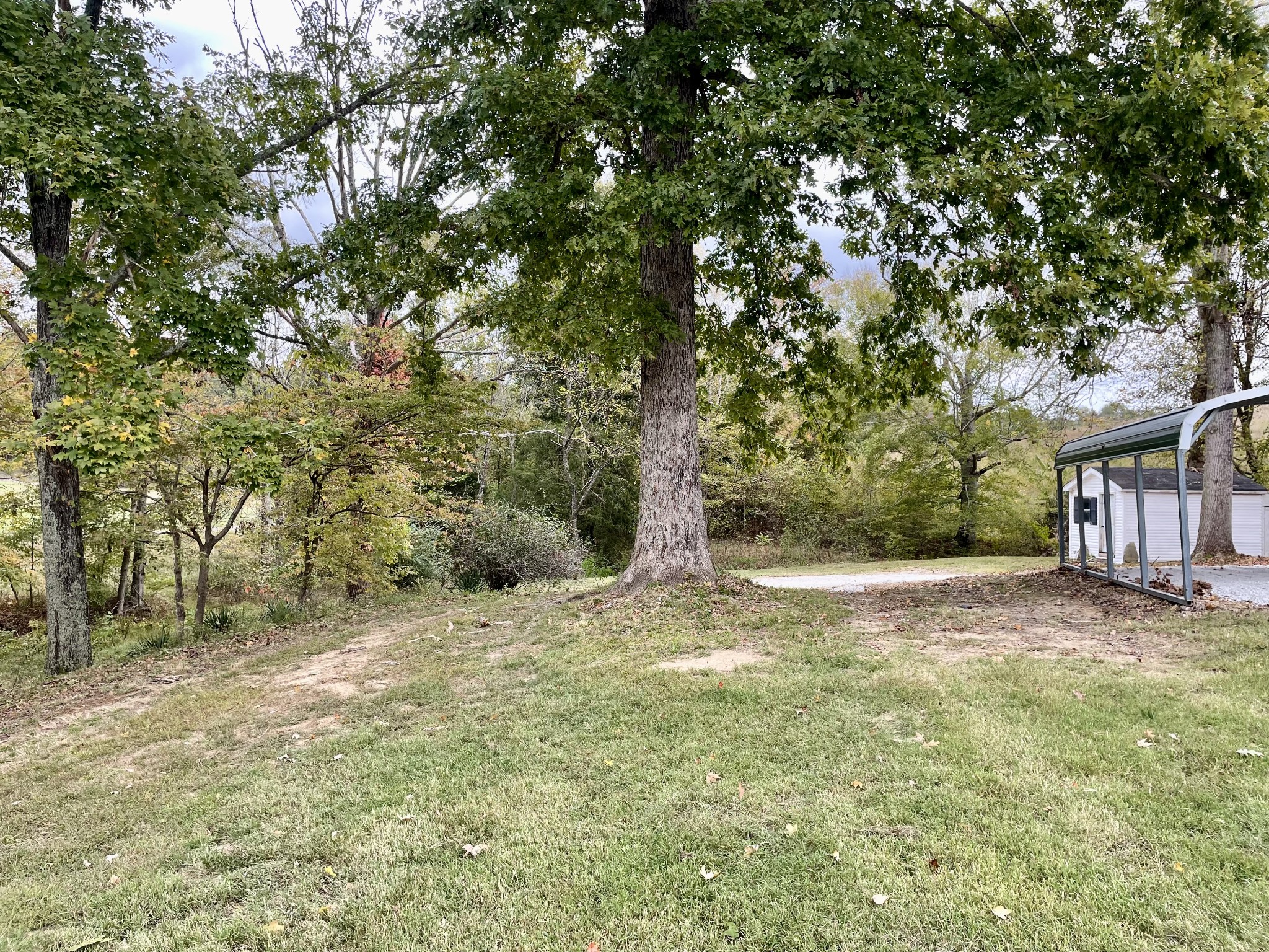 1393 Vernon Rye Road Erin, TN 37061 - Photo 44 of 52 Gallery Image 44