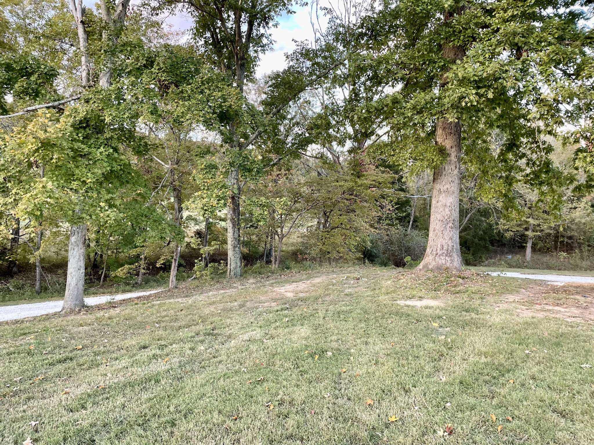 1393 Vernon Rye Road Erin, TN 37061 - Photo 45 of 52 Gallery Image 45