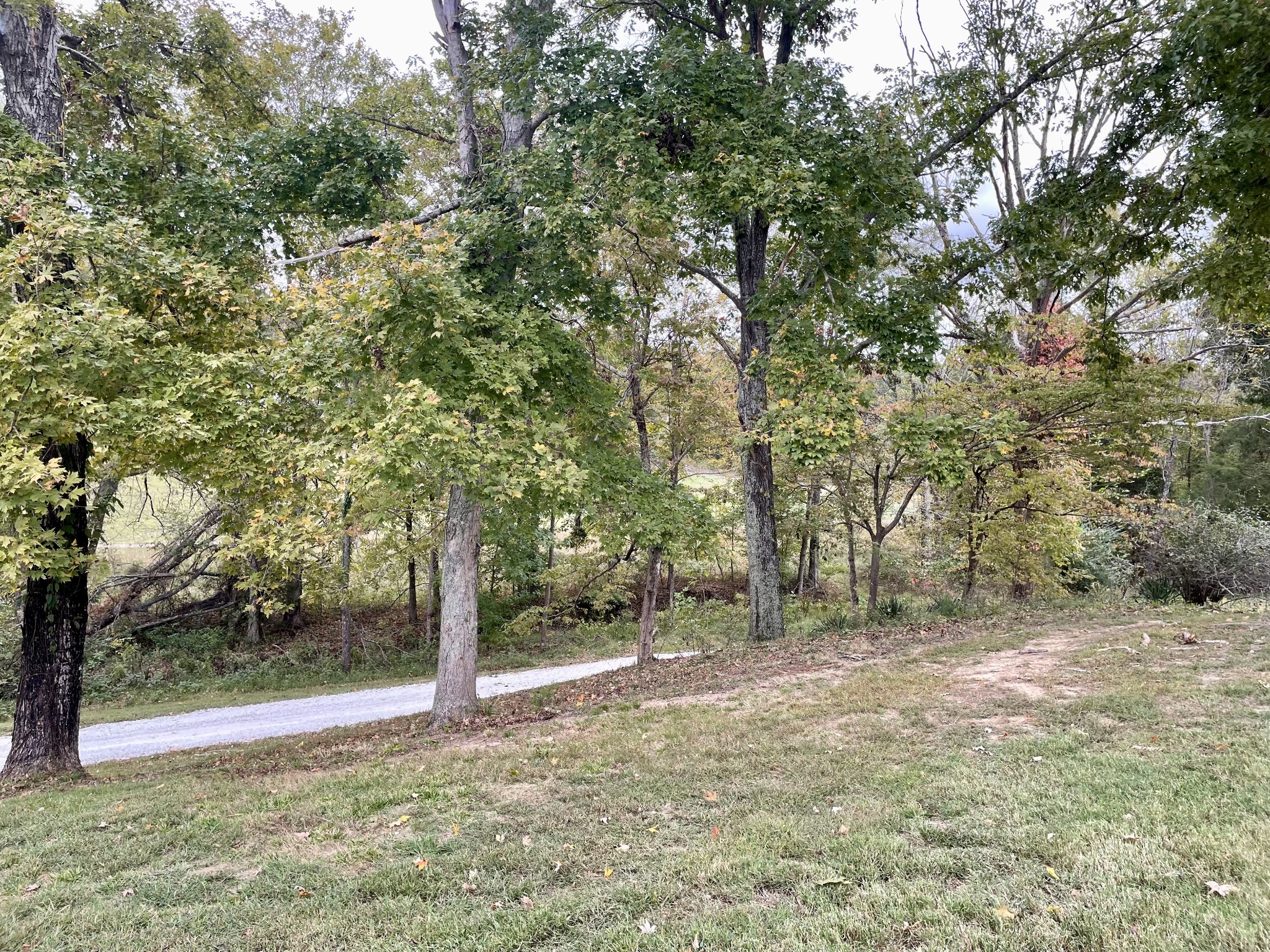 1393 Vernon Rye Road Erin, TN 37061 - Photo 46 of 52 Gallery Image 46