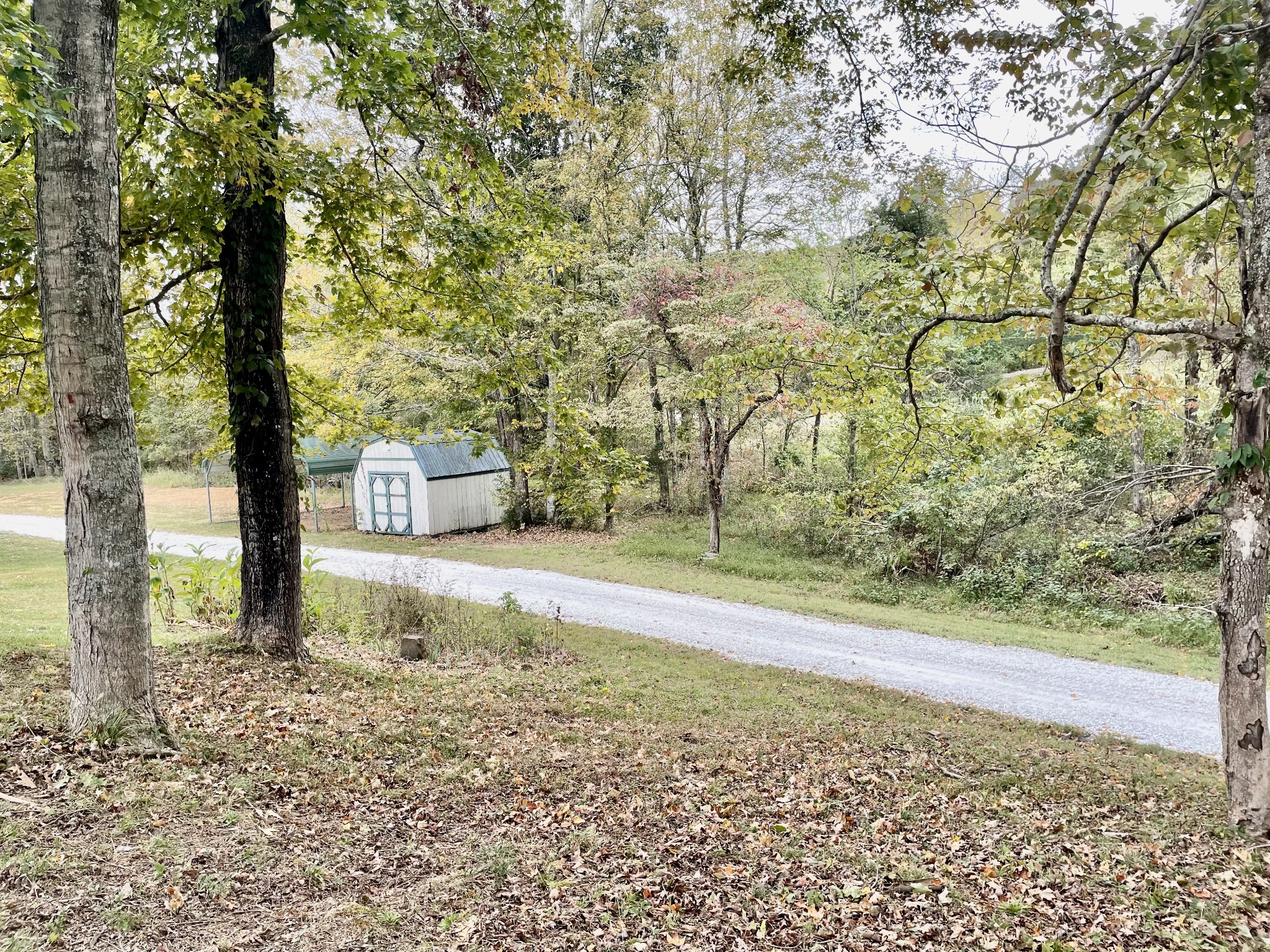 1393 Vernon Rye Road Erin, TN 37061 - Photo 47 of 52 Gallery Image 47