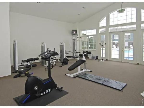 a view of a dry yard with lots of trees