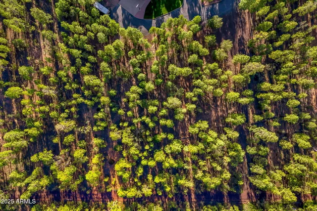 $1,700,000 | 2332 Hall Drive, Lakeside, AZ 85929