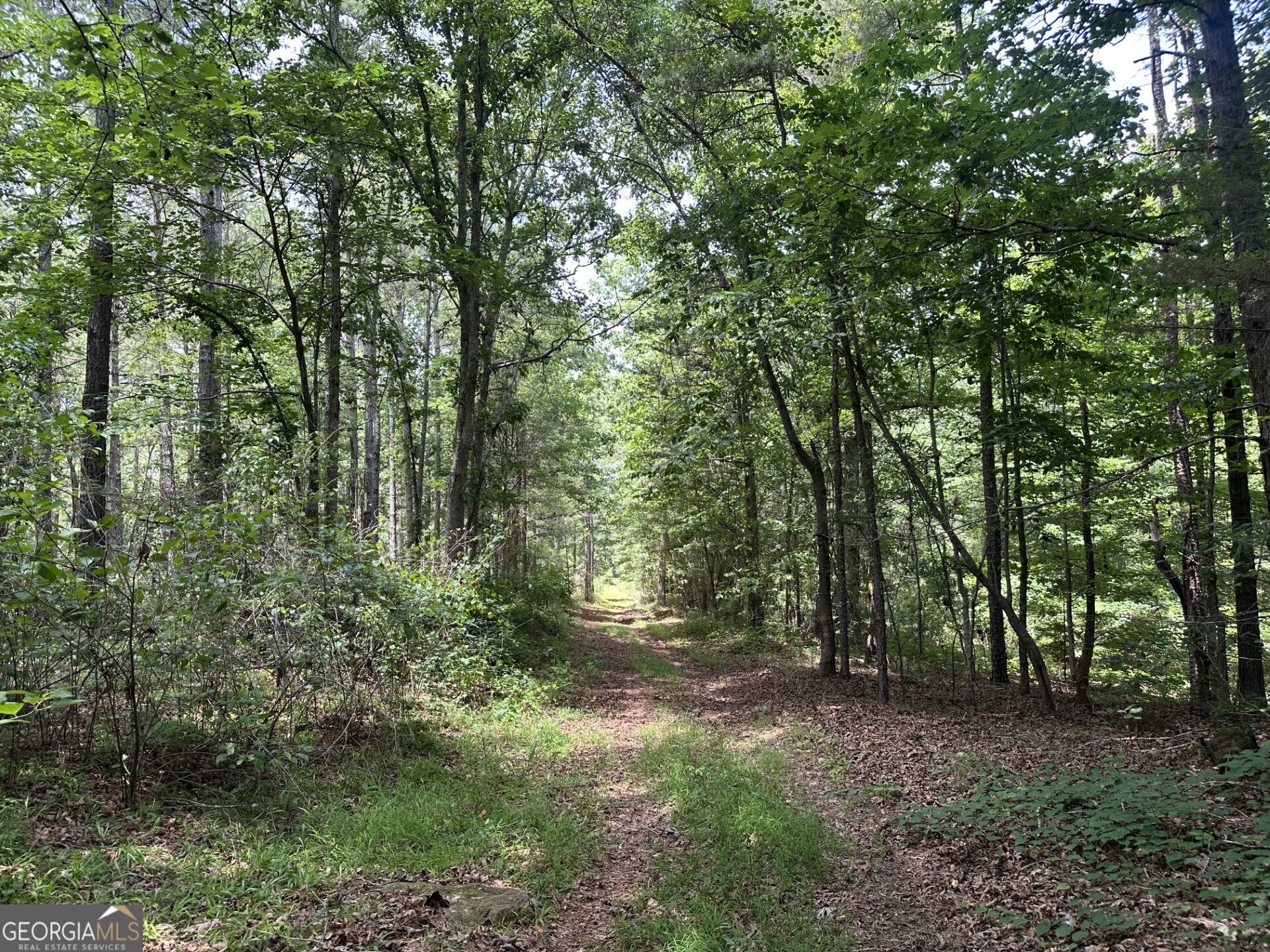 360 Happy Hollow Road Comer, GA 30629 - Photo 14 of 31