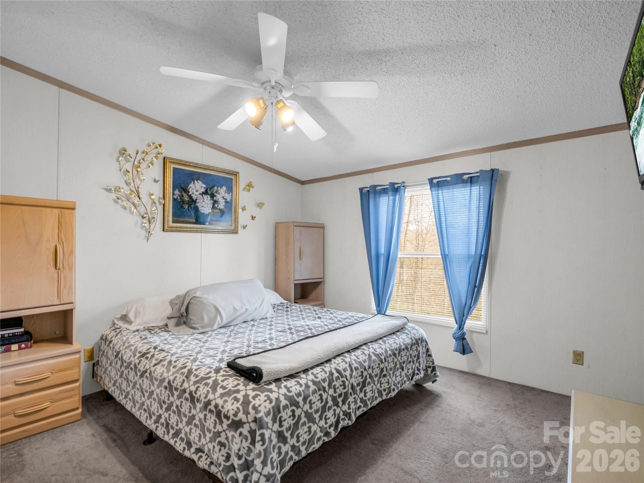 48 Laurel Cove Road Leicester, NC 28748 - Photo 24 of 35