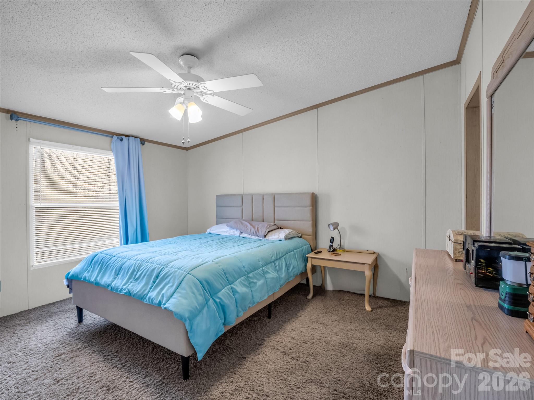 48 Laurel Cove Road Leicester, NC 28748 - Photo 29 of 35