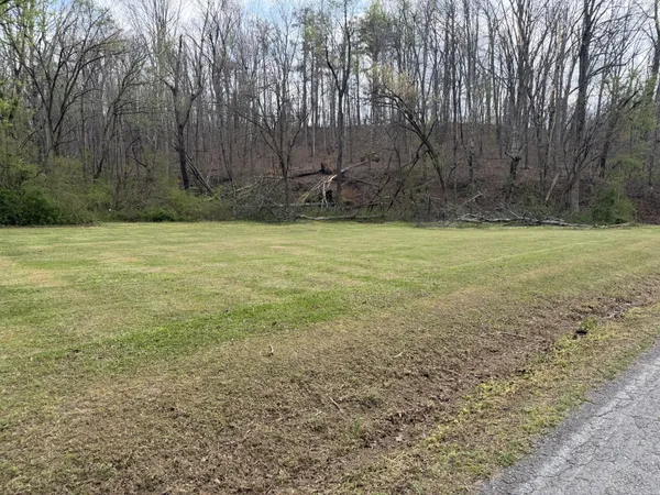 a view of a yard with an trees