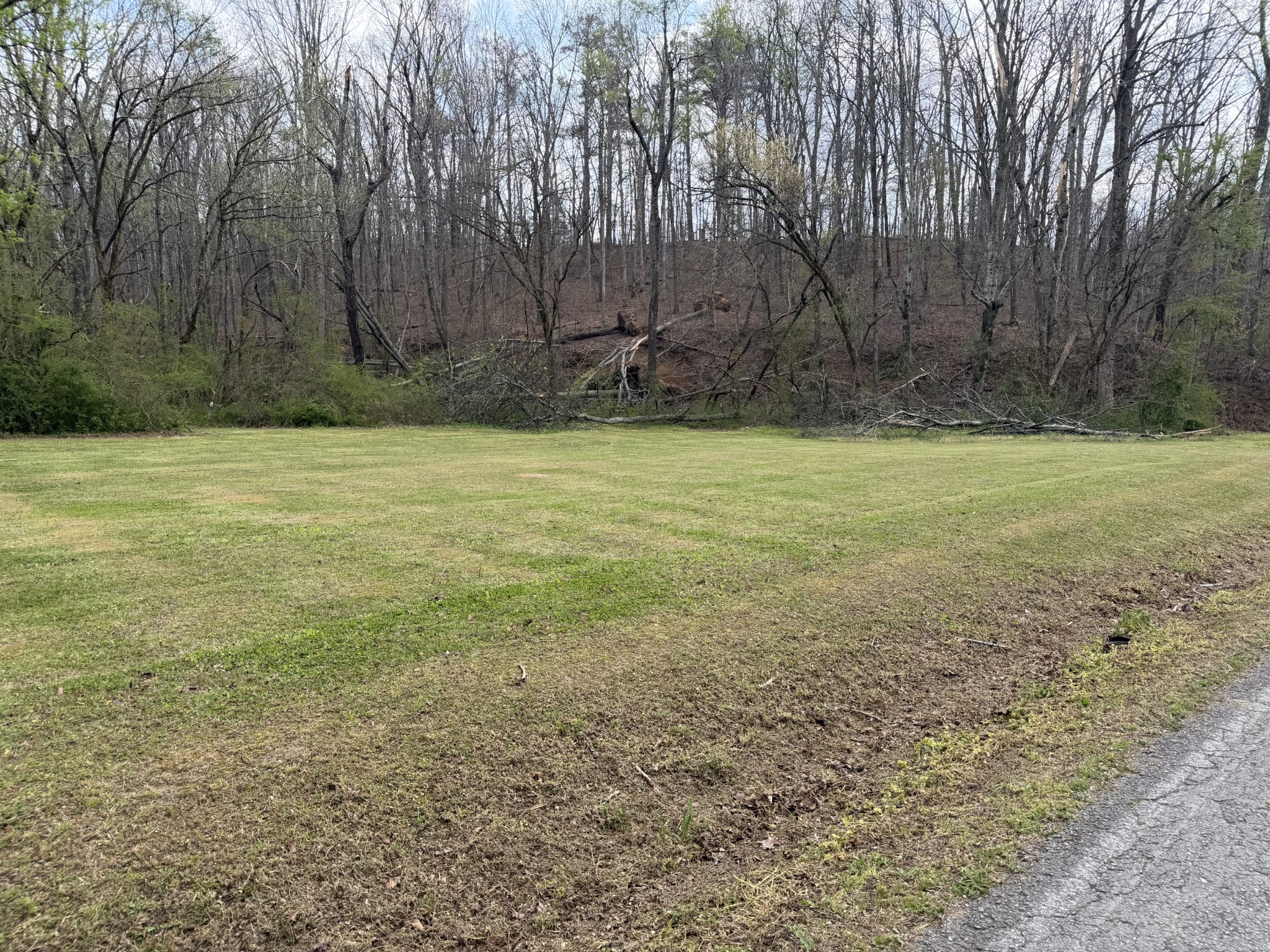 417 Trace Creek Road Hohenwald, TN 38462 - Photo 1 of 34 a view of a yard with an trees