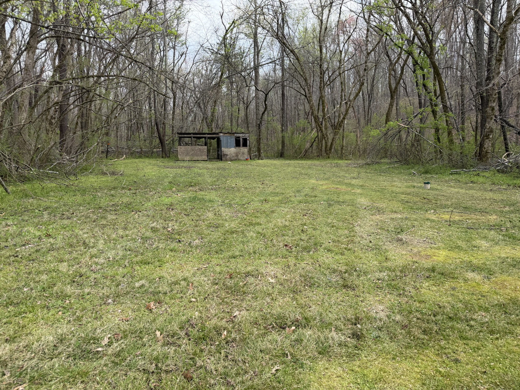 417 Trace Creek Road Hohenwald, TN 38462 - Photo 11 of 34 a view of a backyard