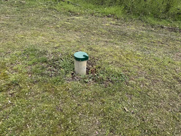a view of a bathroom with a toilet