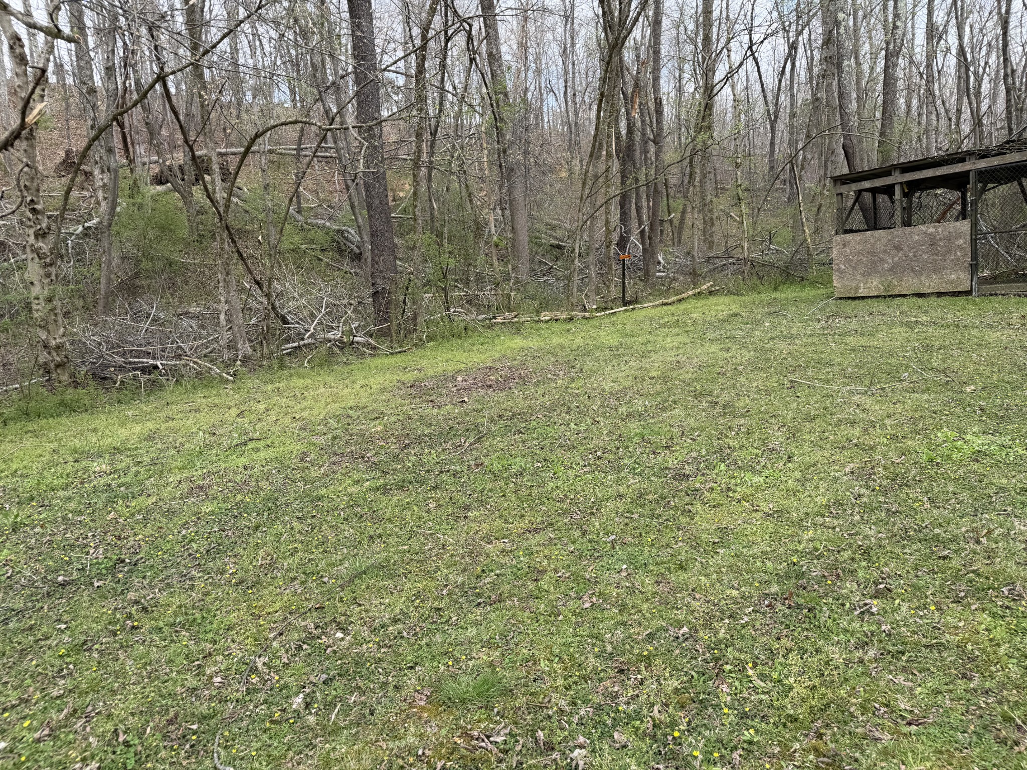 417 Trace Creek Road Hohenwald, TN 38462 - Photo 13 of 34 a view of a outdoor space