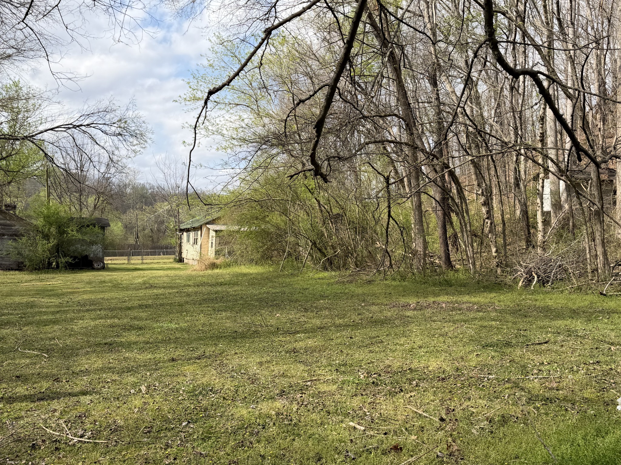 417 Trace Creek Road Hohenwald, TN 38462 - Photo 15 of 34 a view of a big yard with an trees