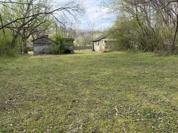 a view of yard with trees