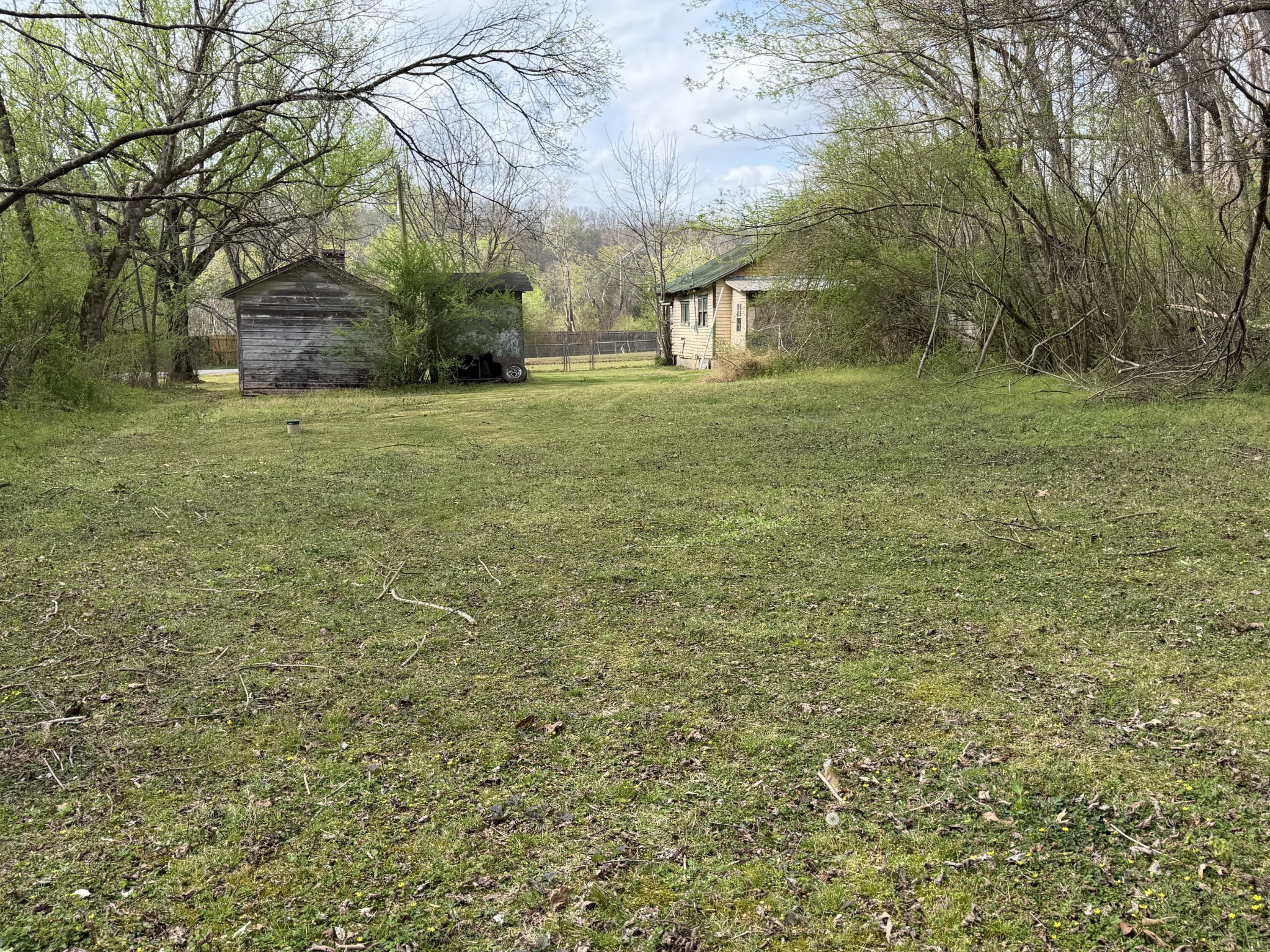 417 Trace Creek Road Hohenwald, TN 38462 - Photo 16 of 34 a view of yard with trees