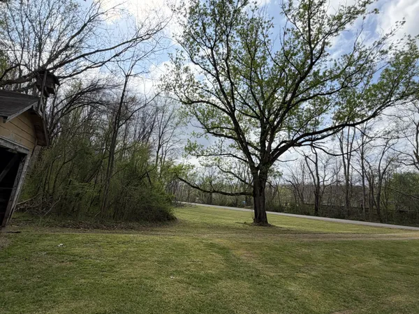 a view of outdoor space with deck and trees