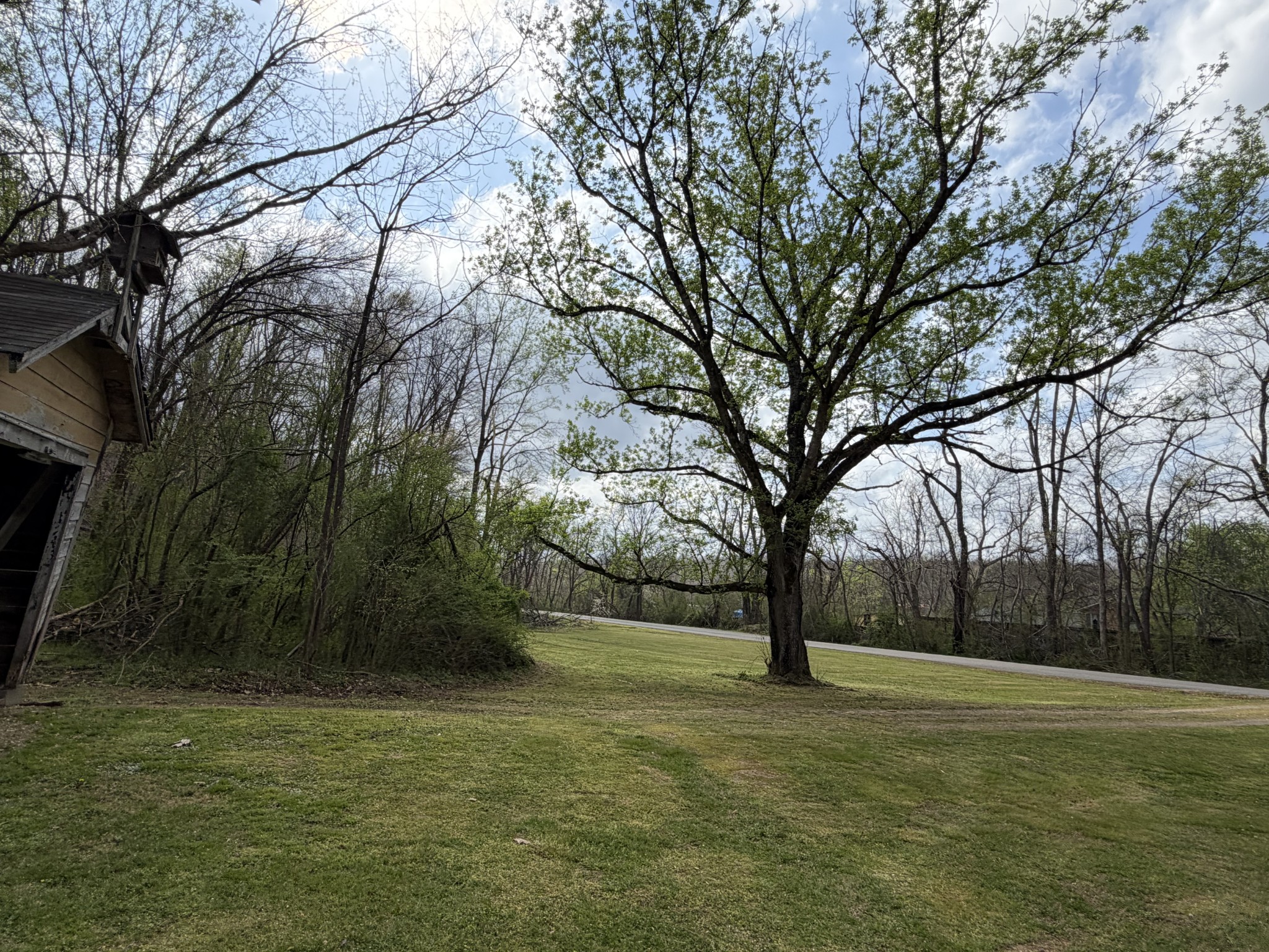 417 Trace Creek Road Hohenwald, TN 38462 - Photo 18 of 34 a view of outdoor space with deck and trees