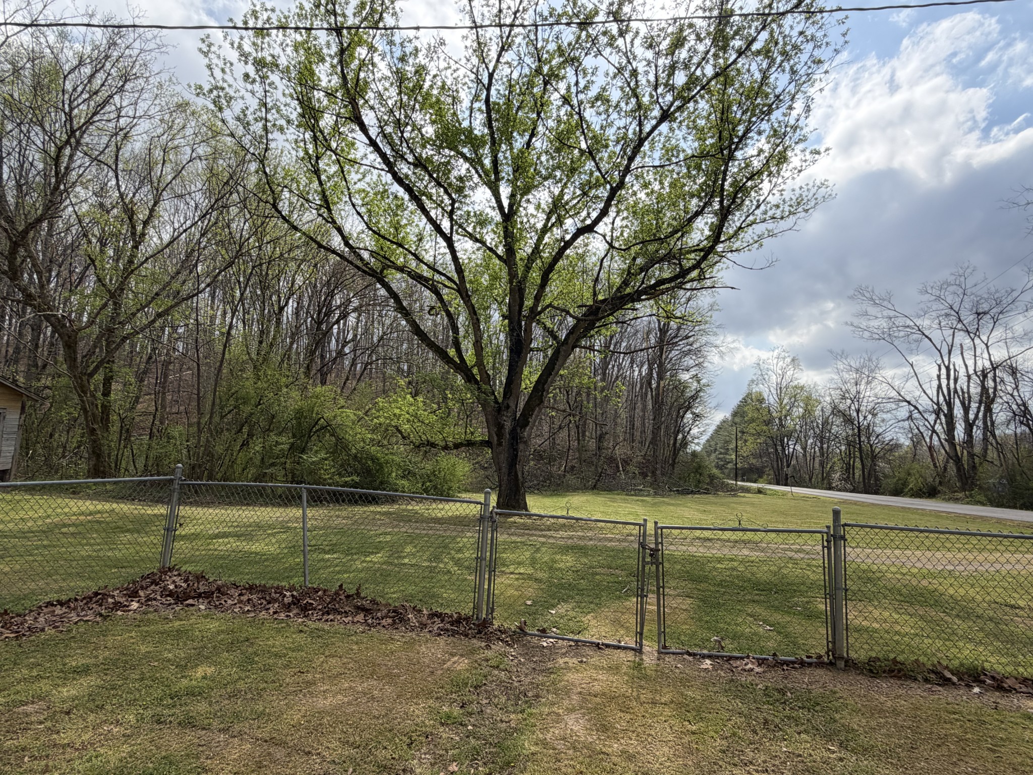 417 Trace Creek Road Hohenwald, TN 38462 - Photo 19 of 34 a view of a park