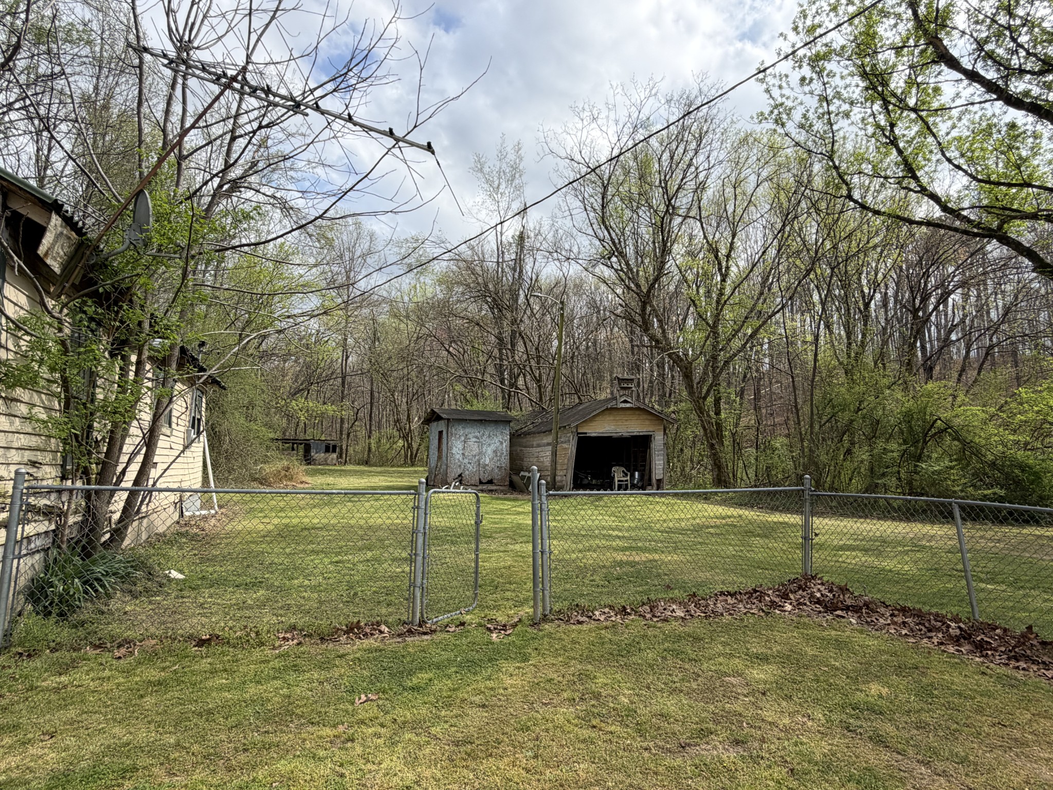 417 Trace Creek Road Hohenwald, TN 38462 - Photo 20 of 34 a view of a park with large trees