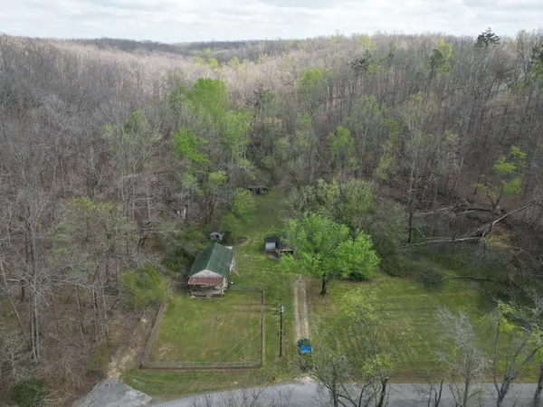 a view of a yard