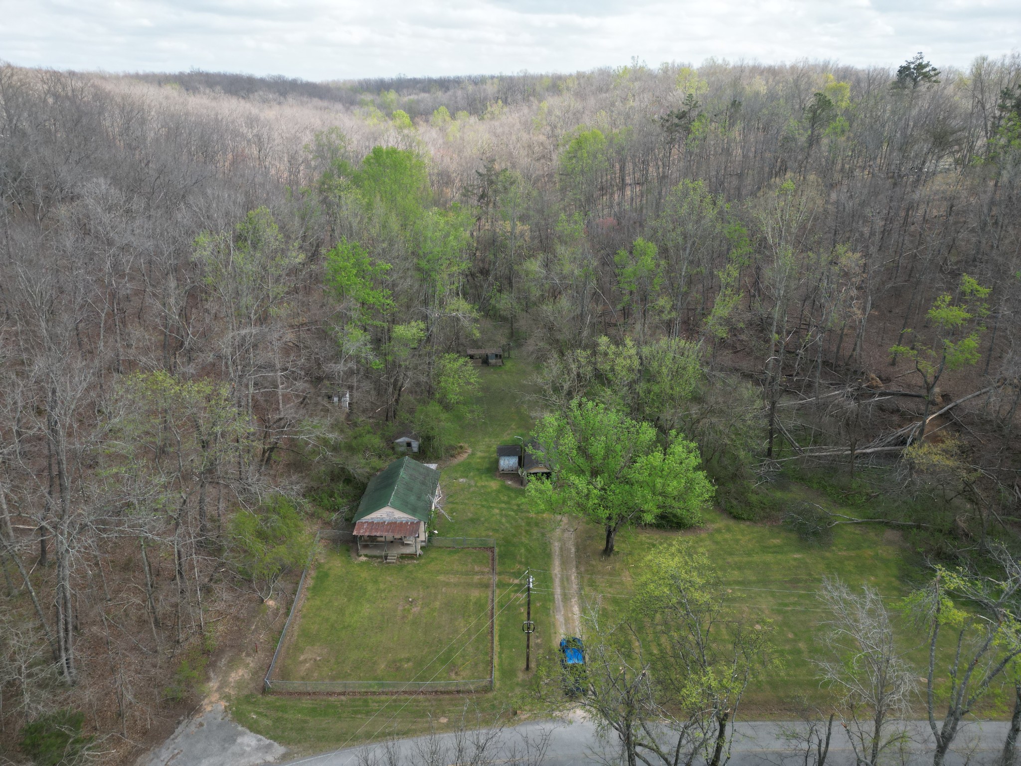 417 Trace Creek Road Hohenwald, TN 38462 - Photo 23 of 34 a view of a yard
