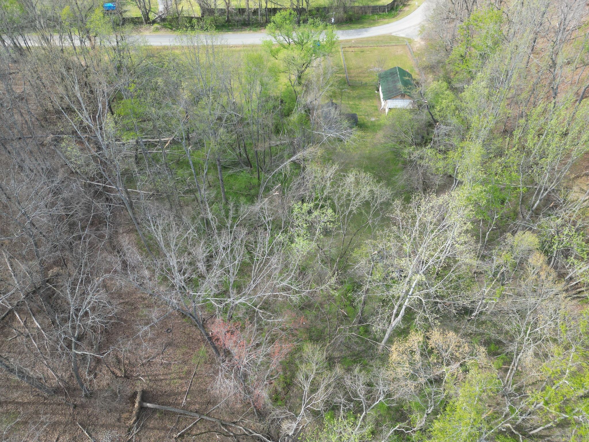 417 Trace Creek Road Hohenwald, TN 38462 - Photo 24 of 34 a view of a lake from a forest