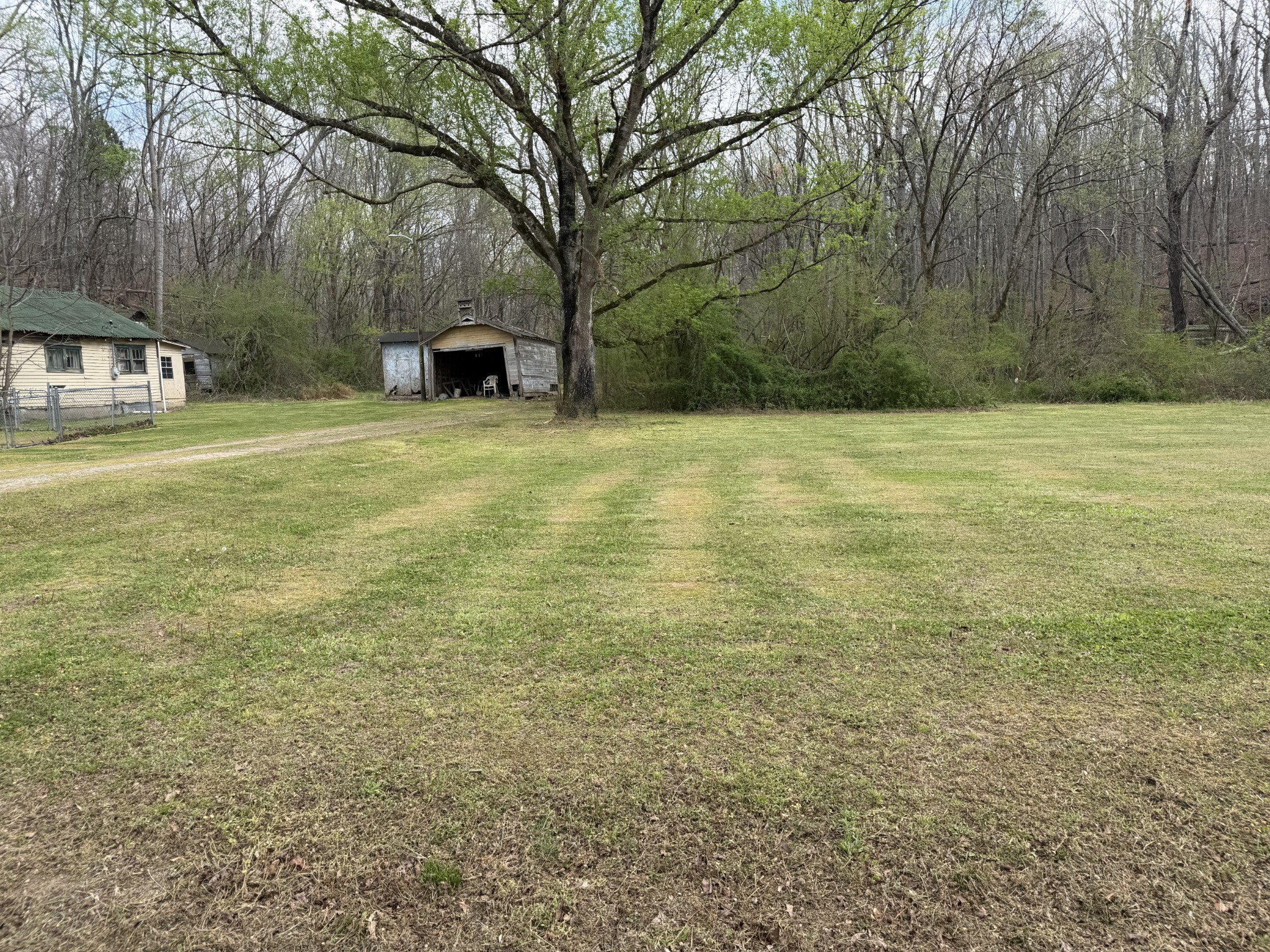 417 Trace Creek Road Hohenwald, TN 38462 - Photo 4 of 34 a backyard of a house with lots of green space