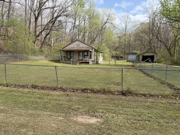 a view of a yard in the back yard