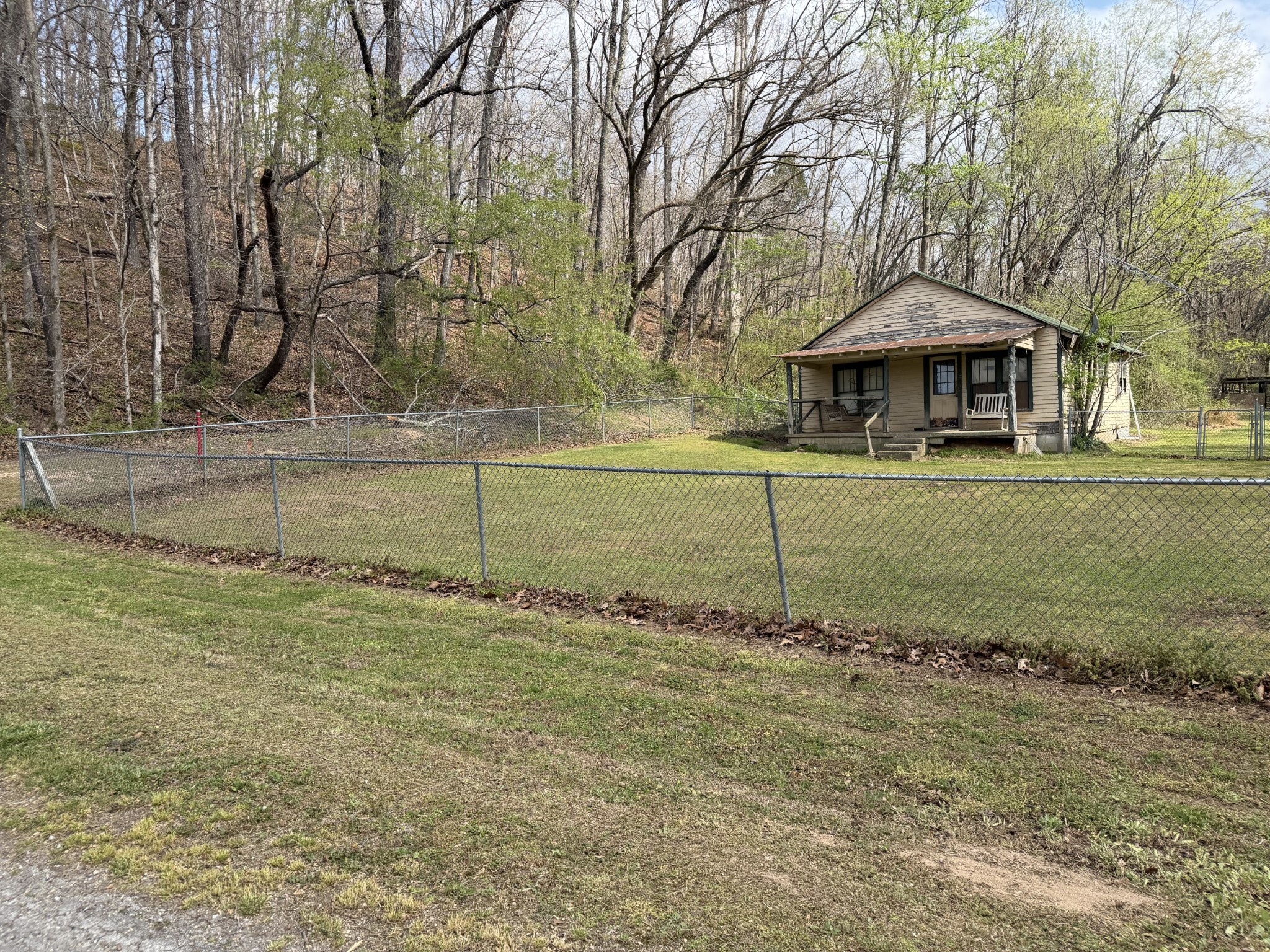 417 Trace Creek Road Hohenwald, TN 38462 - Photo 6 of 34 a backyard of a house with lots of green space