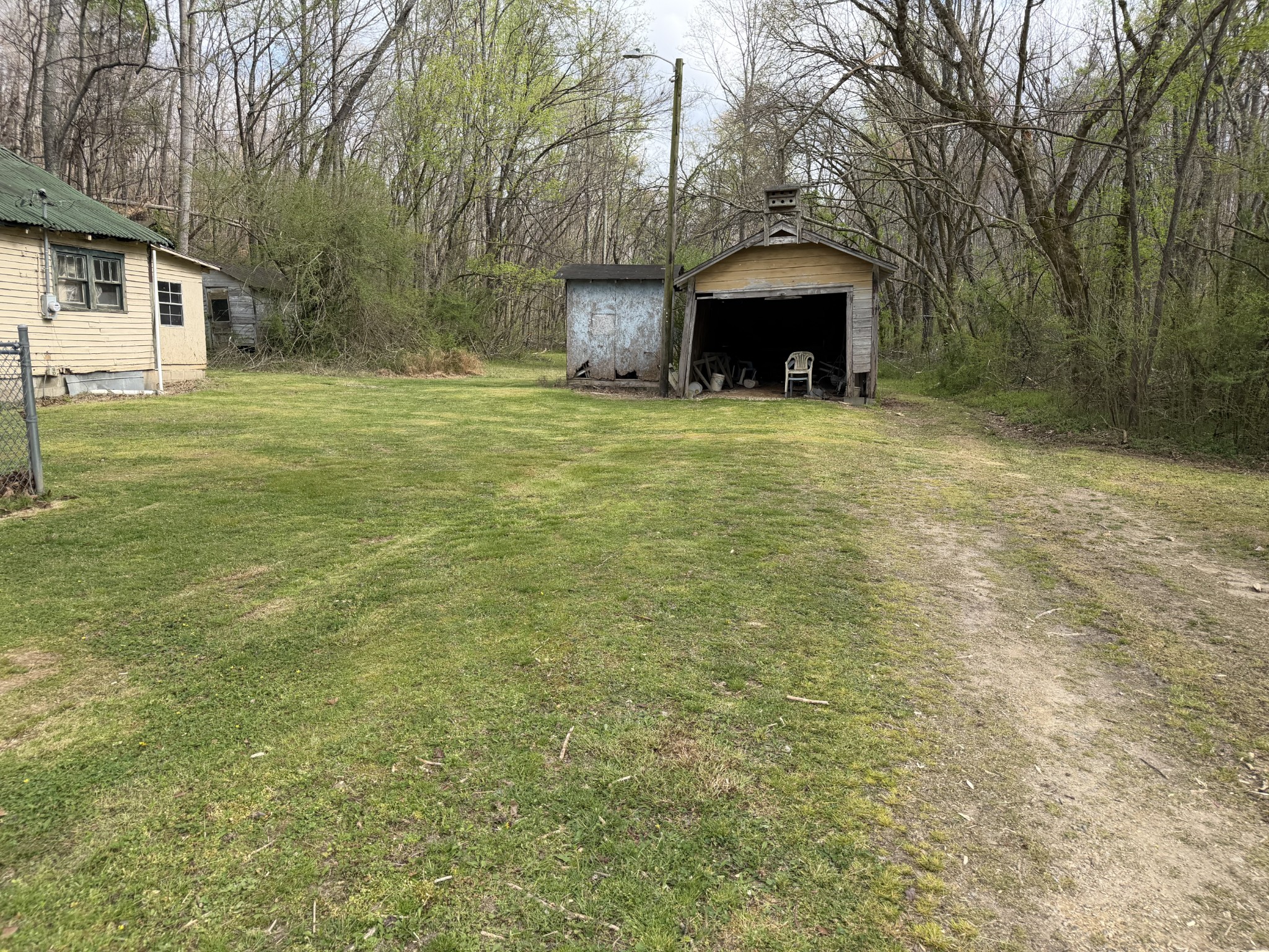 417 Trace Creek Road Hohenwald, TN 38462 - Photo 9 of 34 a large tree in front of a house with a yard
