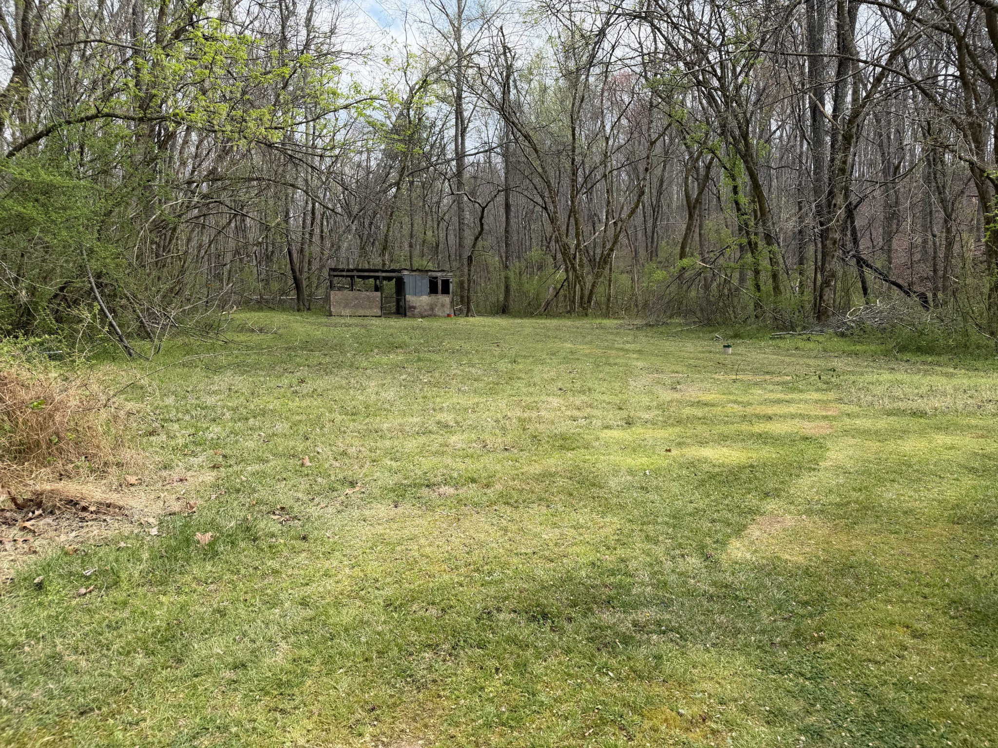 417 Trace Creek Road Hohenwald, TN 38462 - Photo 10 of 34 a backyard of a house with lots of green space