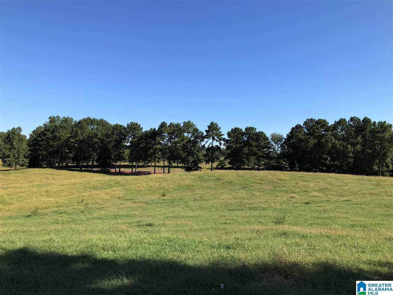 5425 East Mill Road Lineville, AL 36266 - Photo 36 of 50