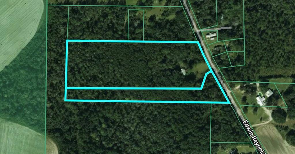 612 Edwin Reynolds Road Cottonwood, AL 36320 - Photo 12 of 15