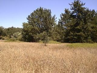 1251 Cunningham Road Sebastopol, CA 95472 - Photo 6 of 8 a view of ocean and mountain