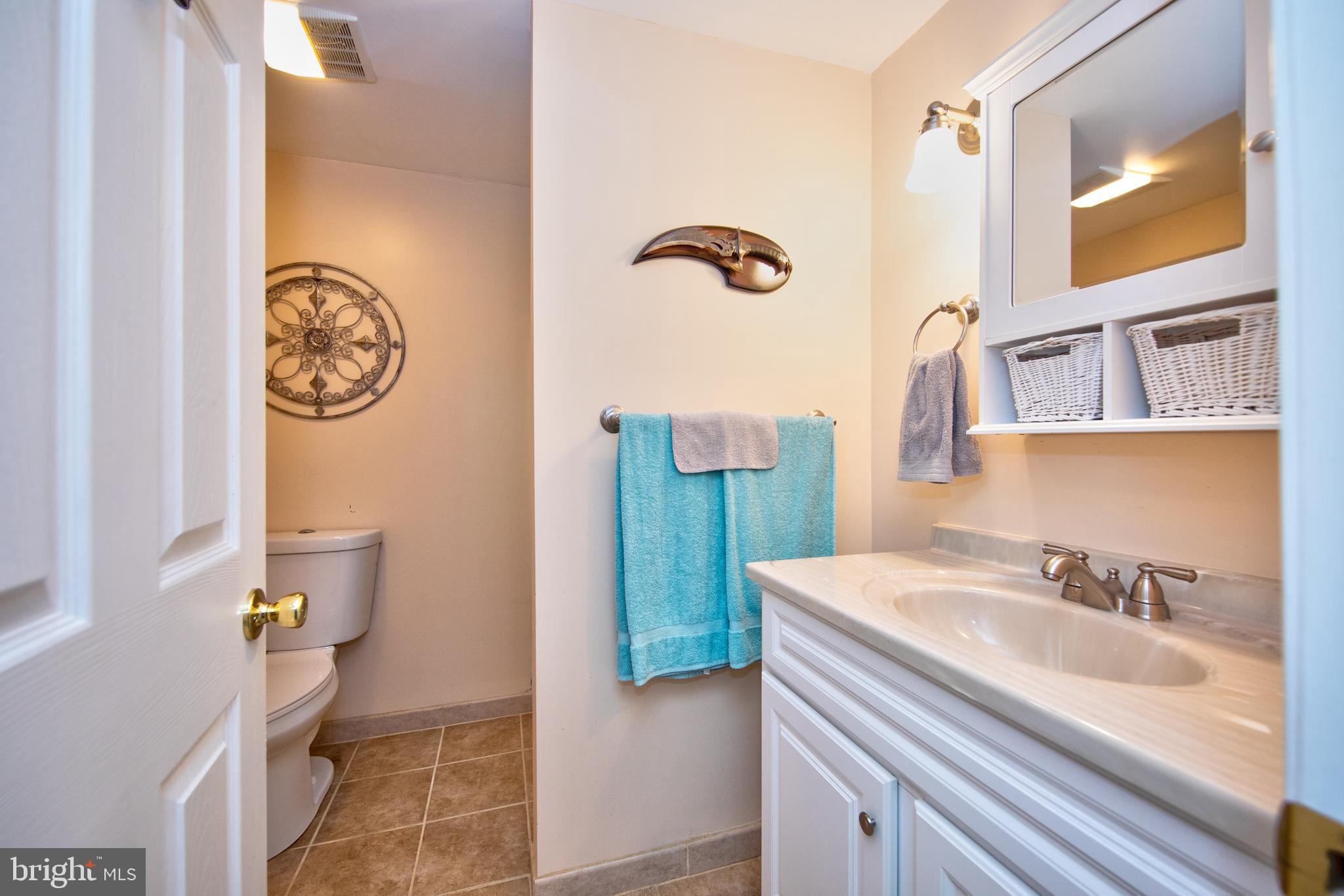 1735 Deep Run Road Whiteford, MD 21160 - Photo 25 of 35 Full bathroom in lower level
