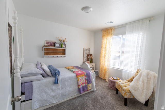 1373 South Raintree Lane Santaquin, UT 84655 - Photo 14 of 29 Bedroom with dark carpet