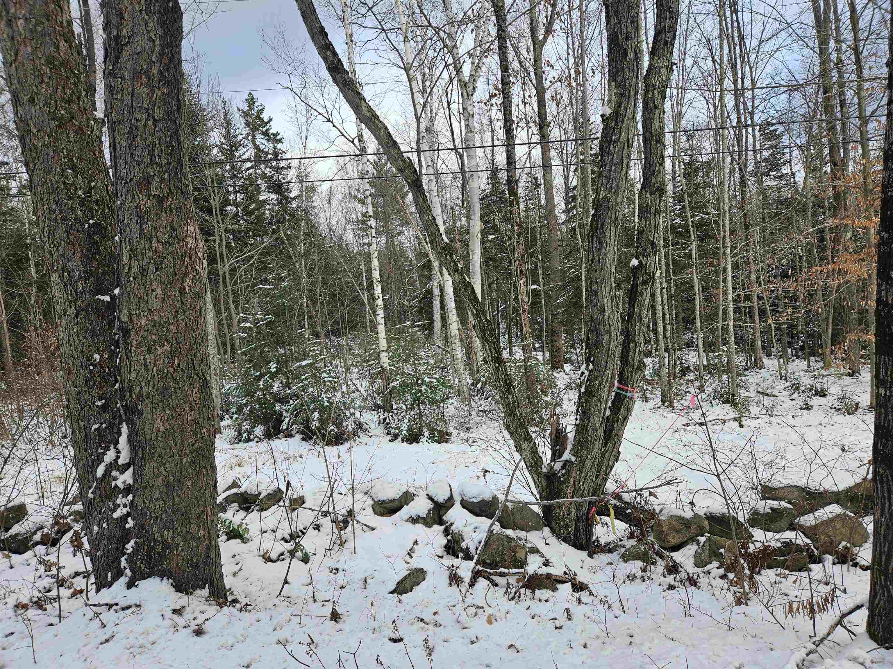 Lot 11 The Birches Road Sugar Hill, NH 03586 - Photo 1 of 20 Gallery Image 1