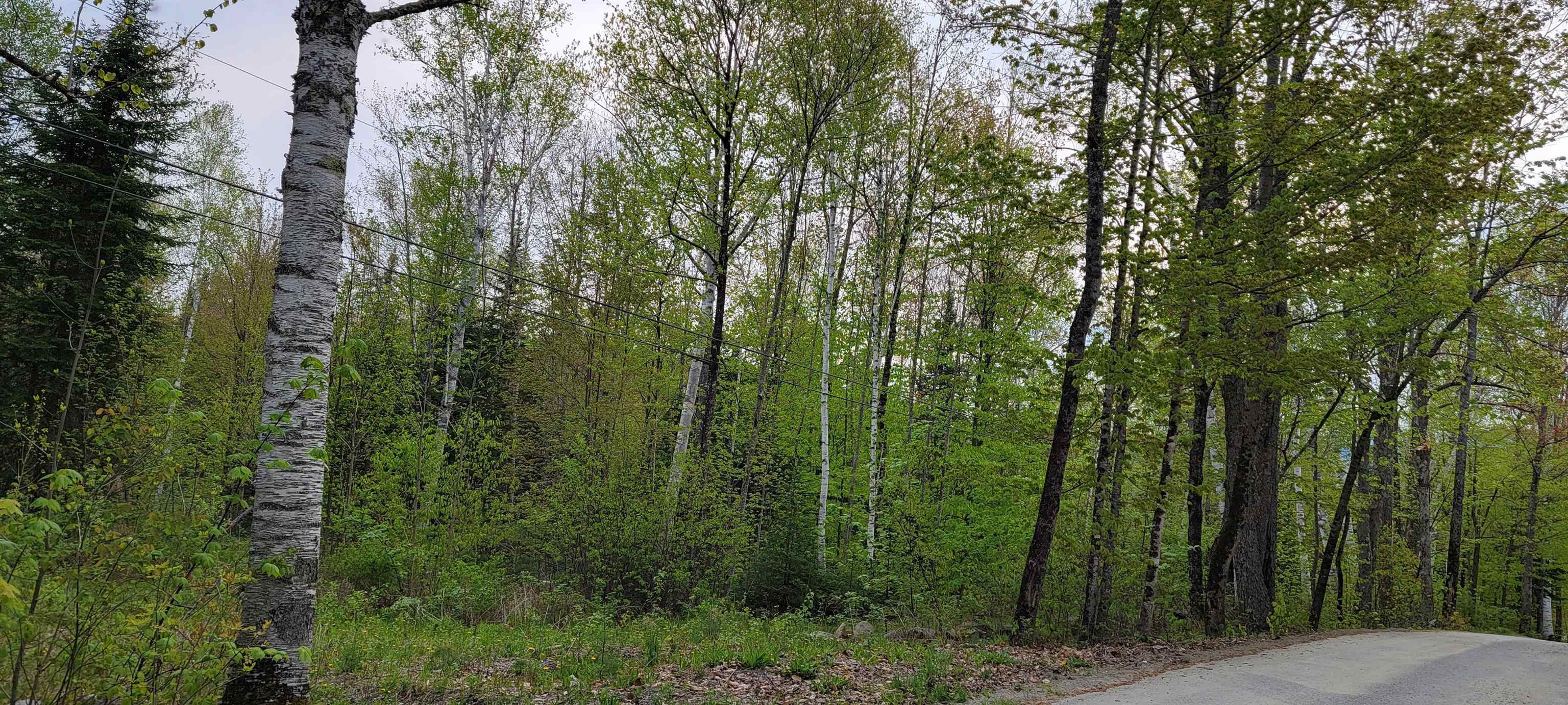 Lot 11 The Birches Road Sugar Hill, NH 03586 - Photo 11 of 20 Gallery Image 11
