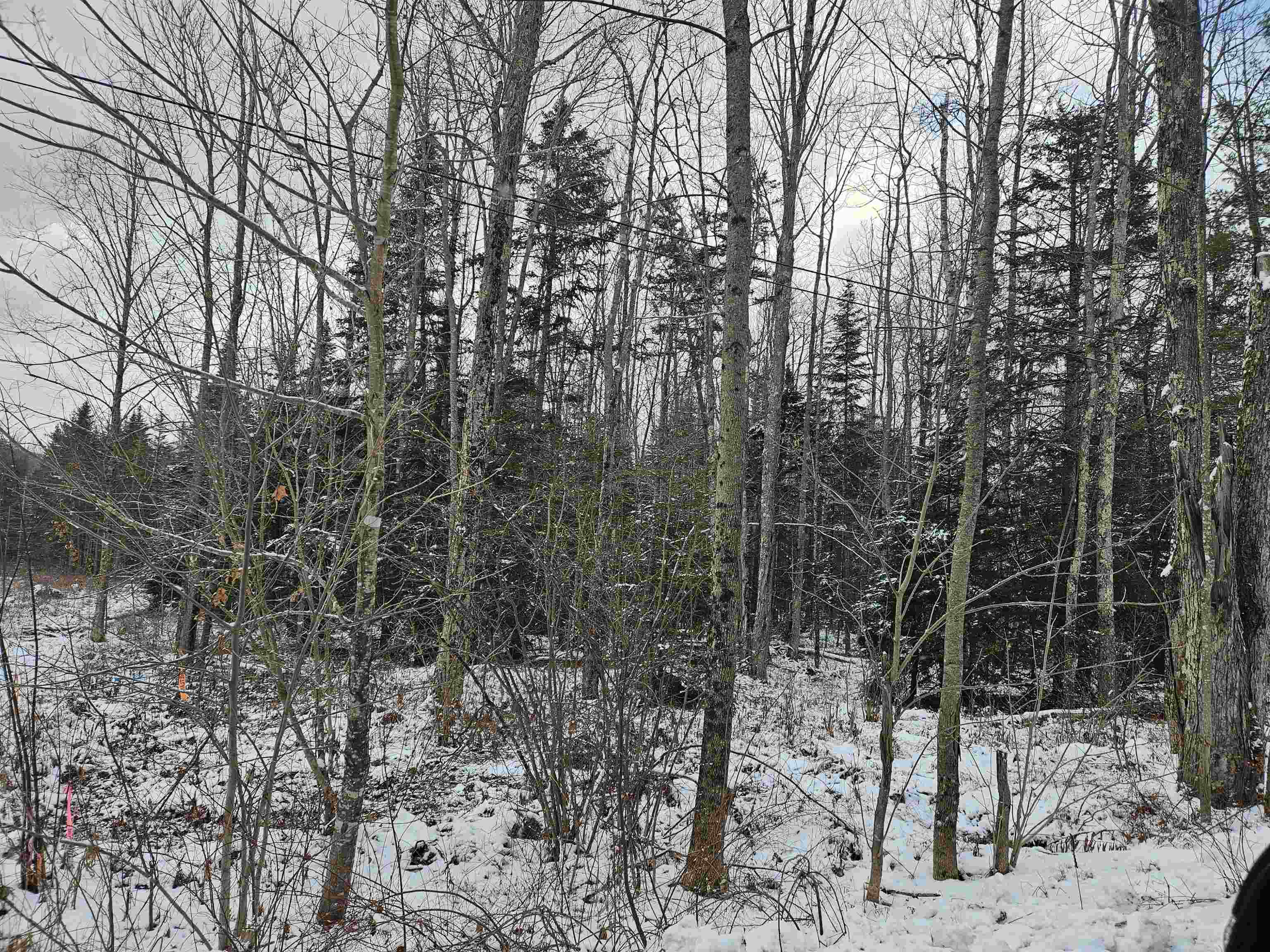 Lot 11 The Birches Road Sugar Hill, NH 03586 - Photo 13 of 20 Gallery Image 13